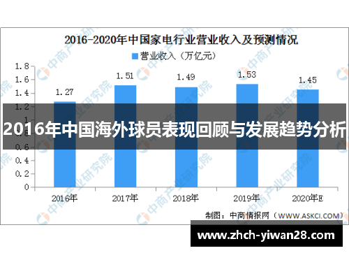 2016年中国海外球员表现回顾与发展趋势分析