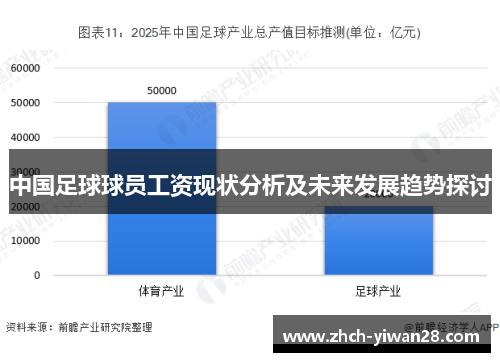 中国足球球员工资现状分析及未来发展趋势探讨